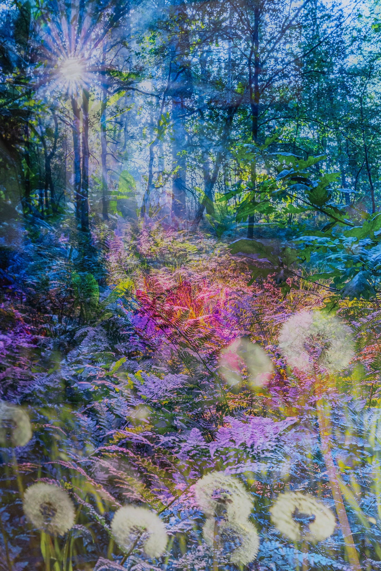 Colours of Nature #1
