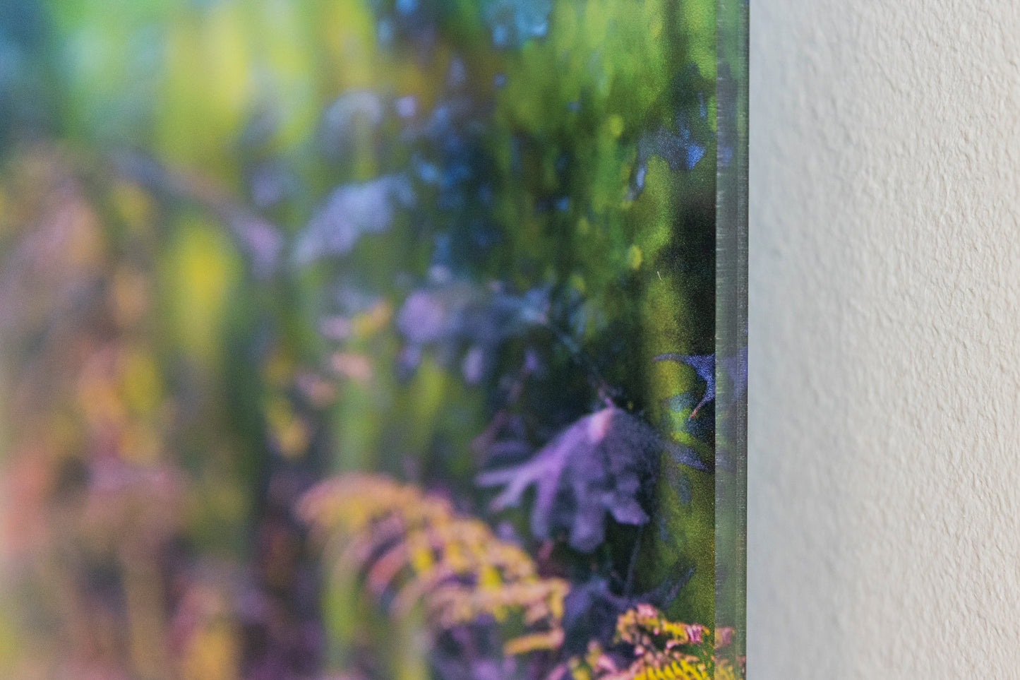 Colours of Nature #1