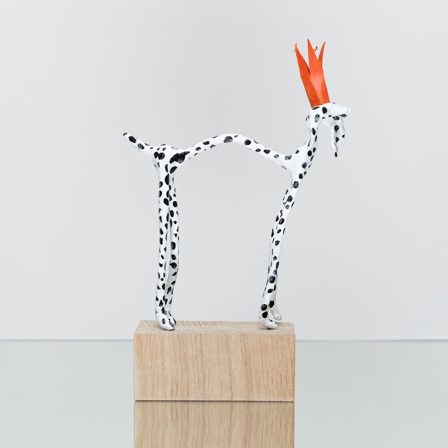 Dalmatier Couronne Rouge
