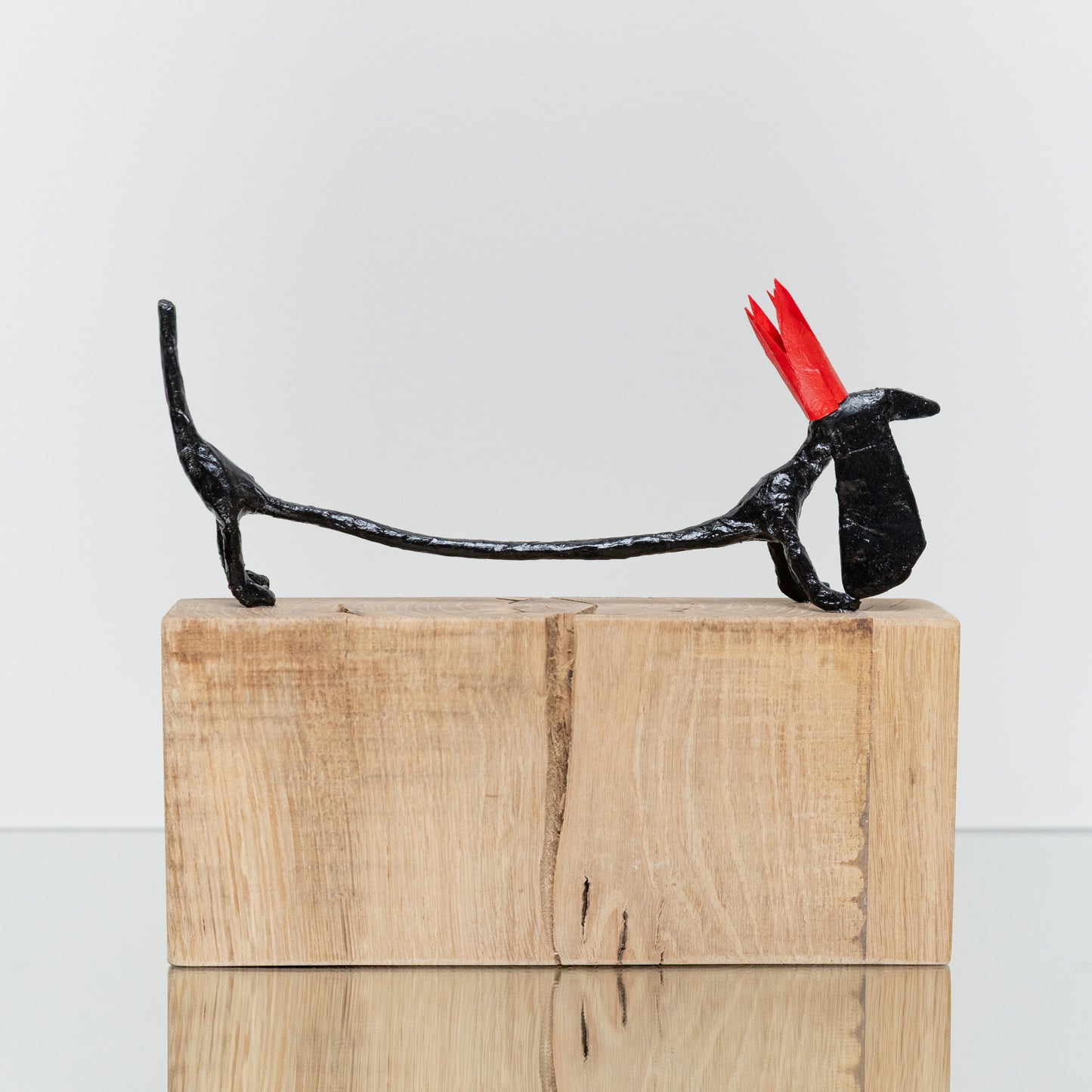 Chien Noir Longue Couronne Rouge