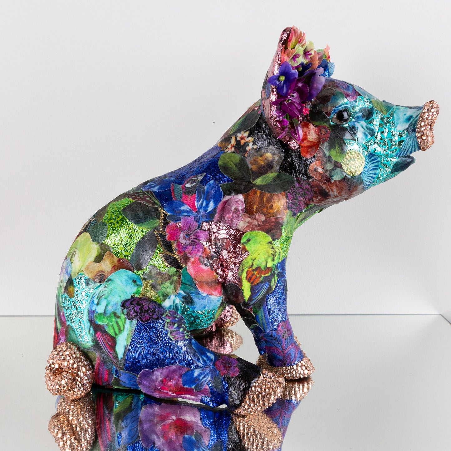 Pig