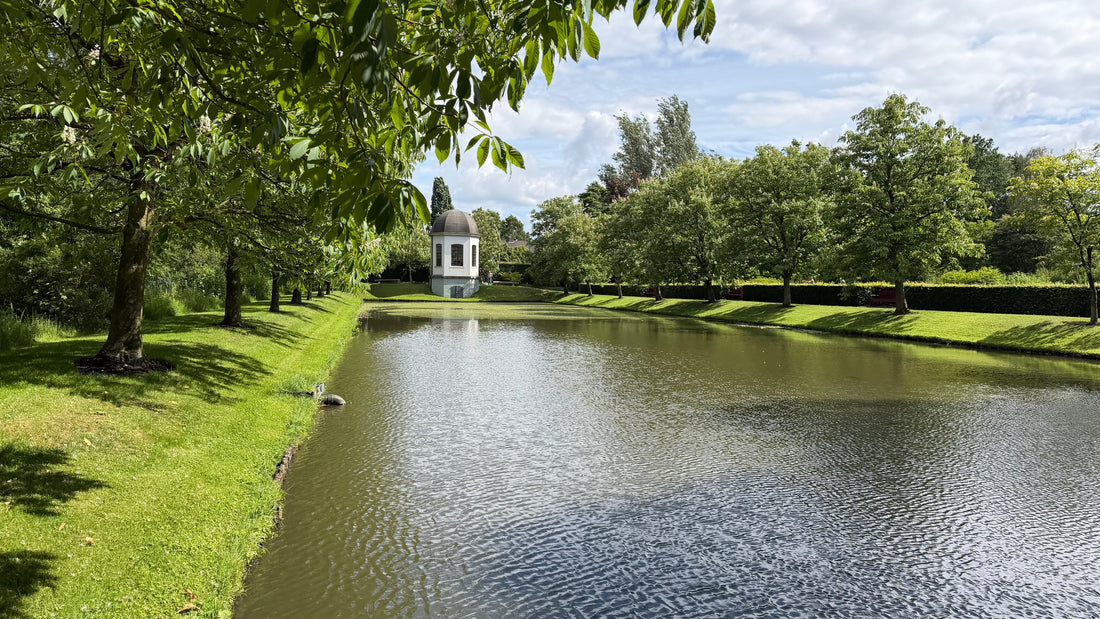 Waar Bomen Verhalen Fluisteren