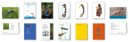 Forest Animal Card Pack