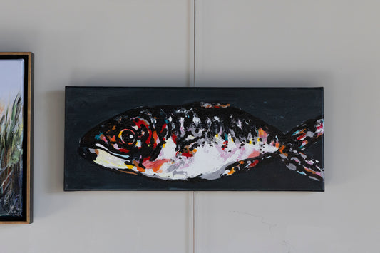 Dorade