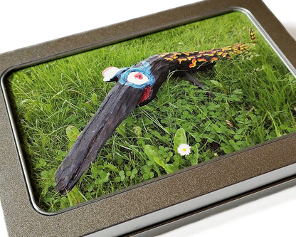 Forest Animal Card Pack