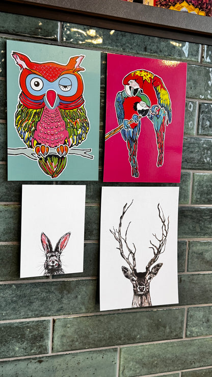 Posters