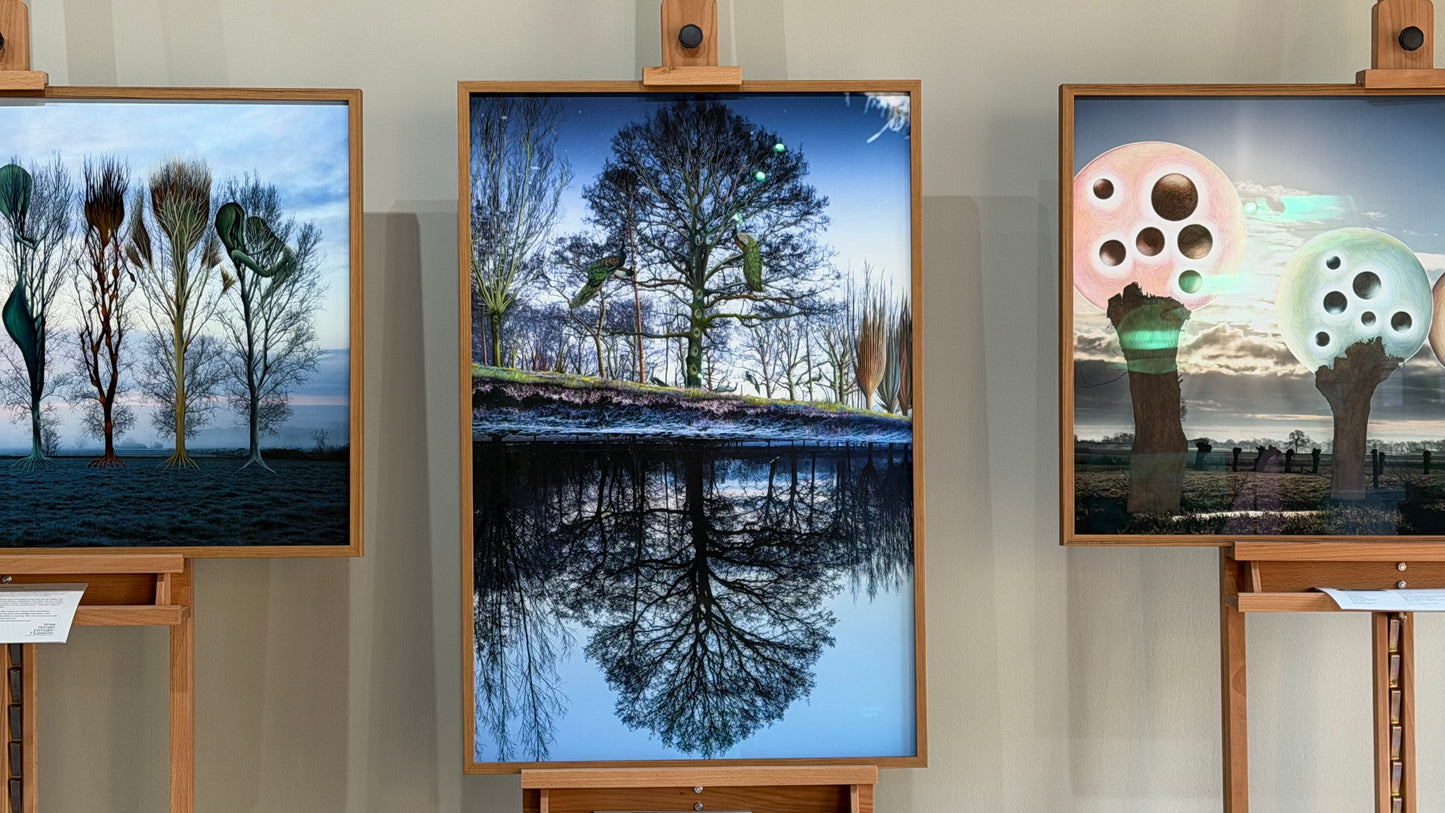Pauwenboom print