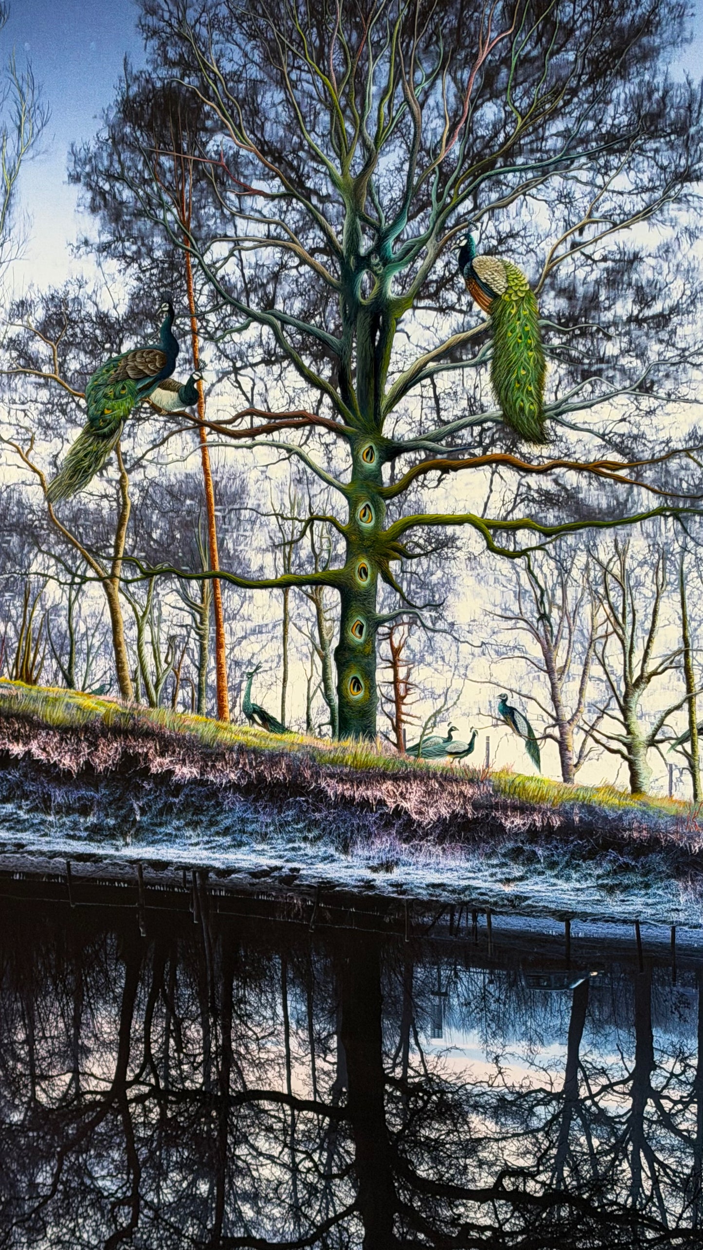 Pauwenboom print