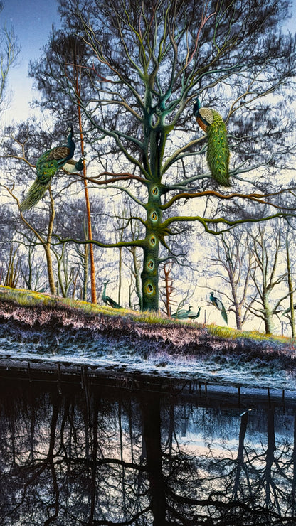 Pauwenboom print