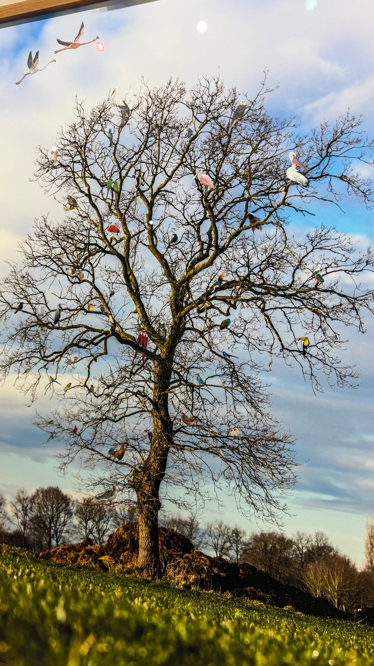 Ontmoetingsboom van Vogels