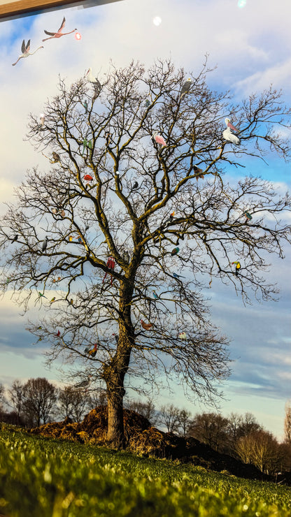 Ontmoetingsboom van Vogels