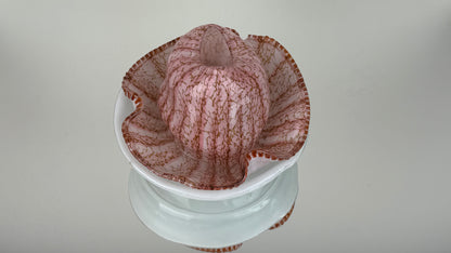 Glas object found at the sea 2