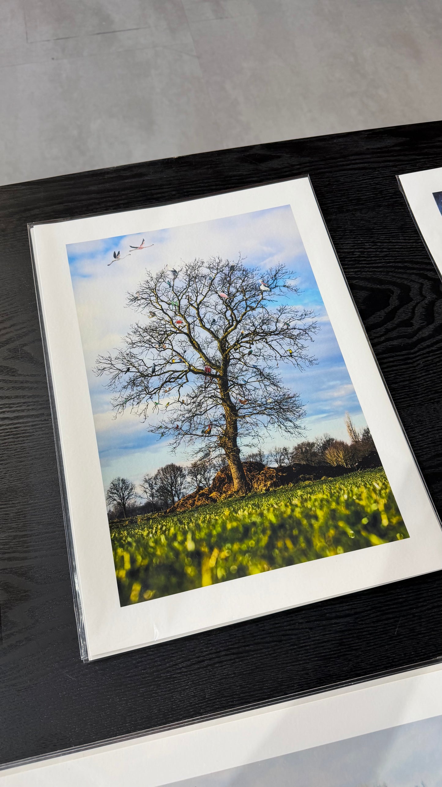 Ontmoetingsboom van Vogels print