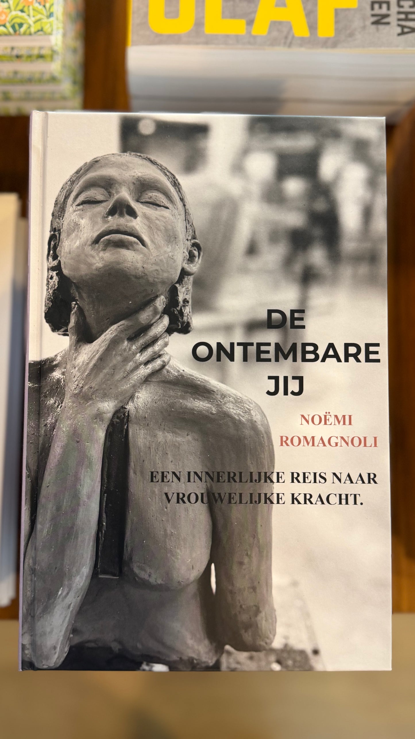 Boek: De ontembare jij