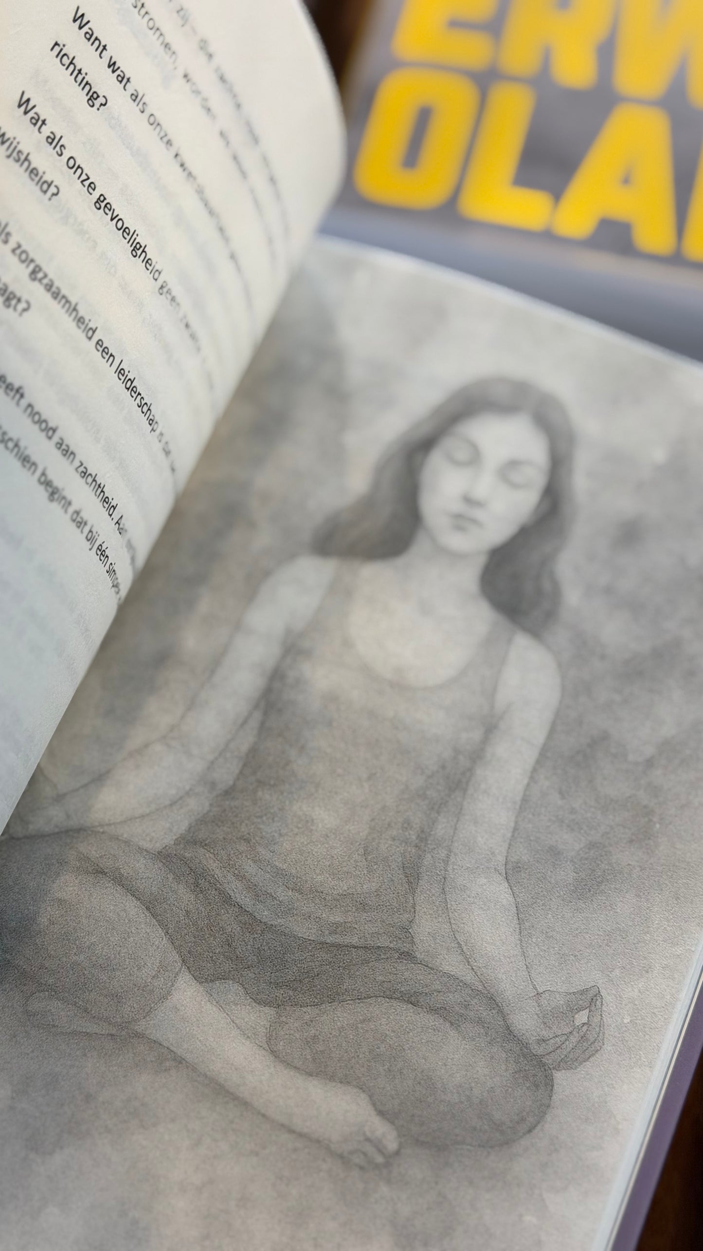 Boek: De ontembare jij