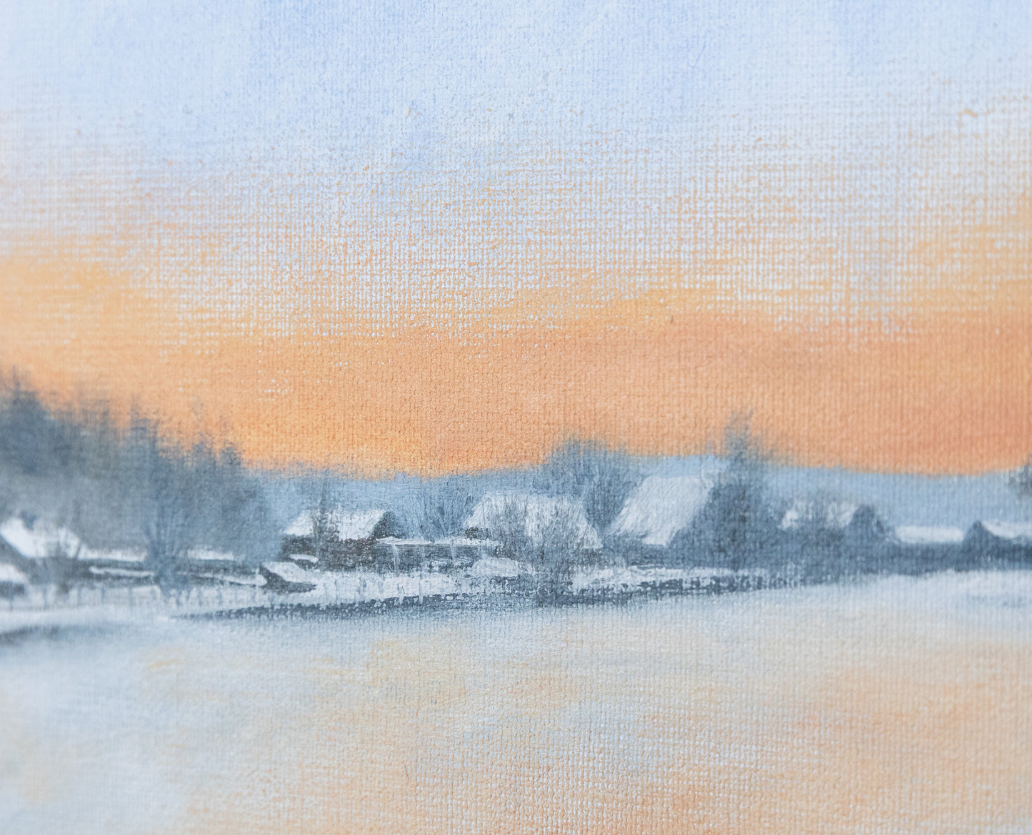 Winter in Elspeet