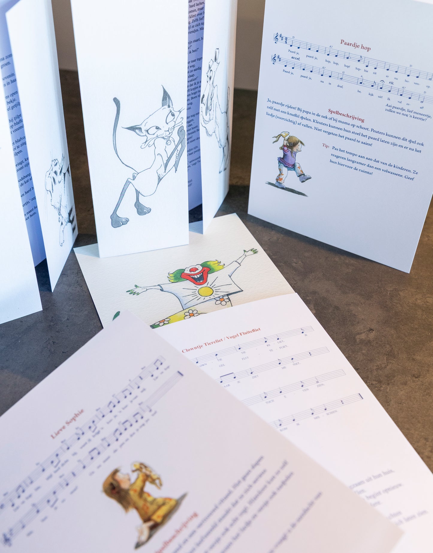 Lin de Laat vouwkaarten