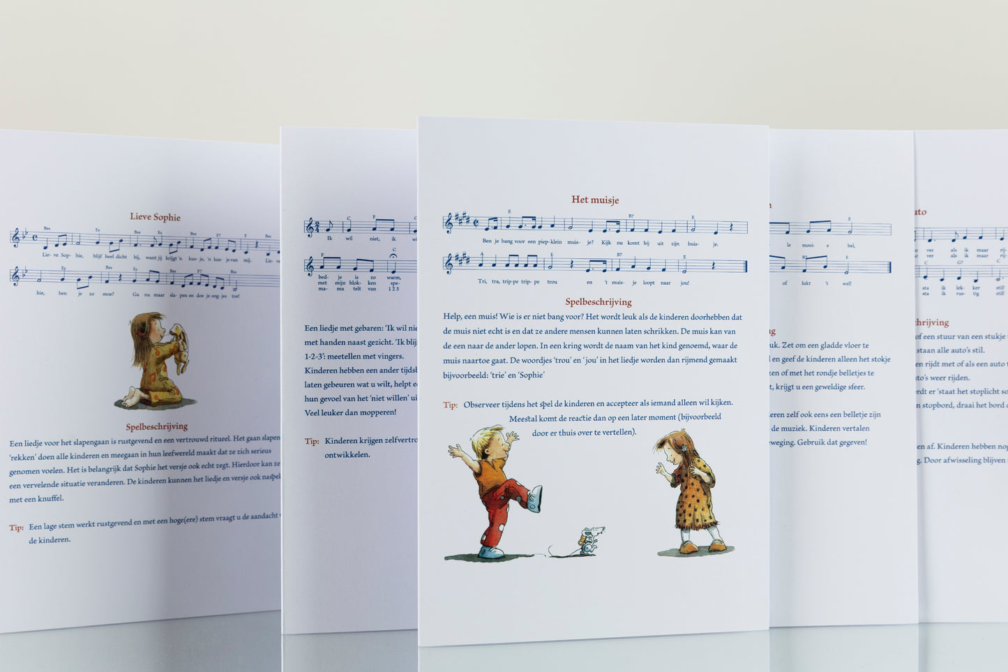 Lin de Laat vouwkaarten