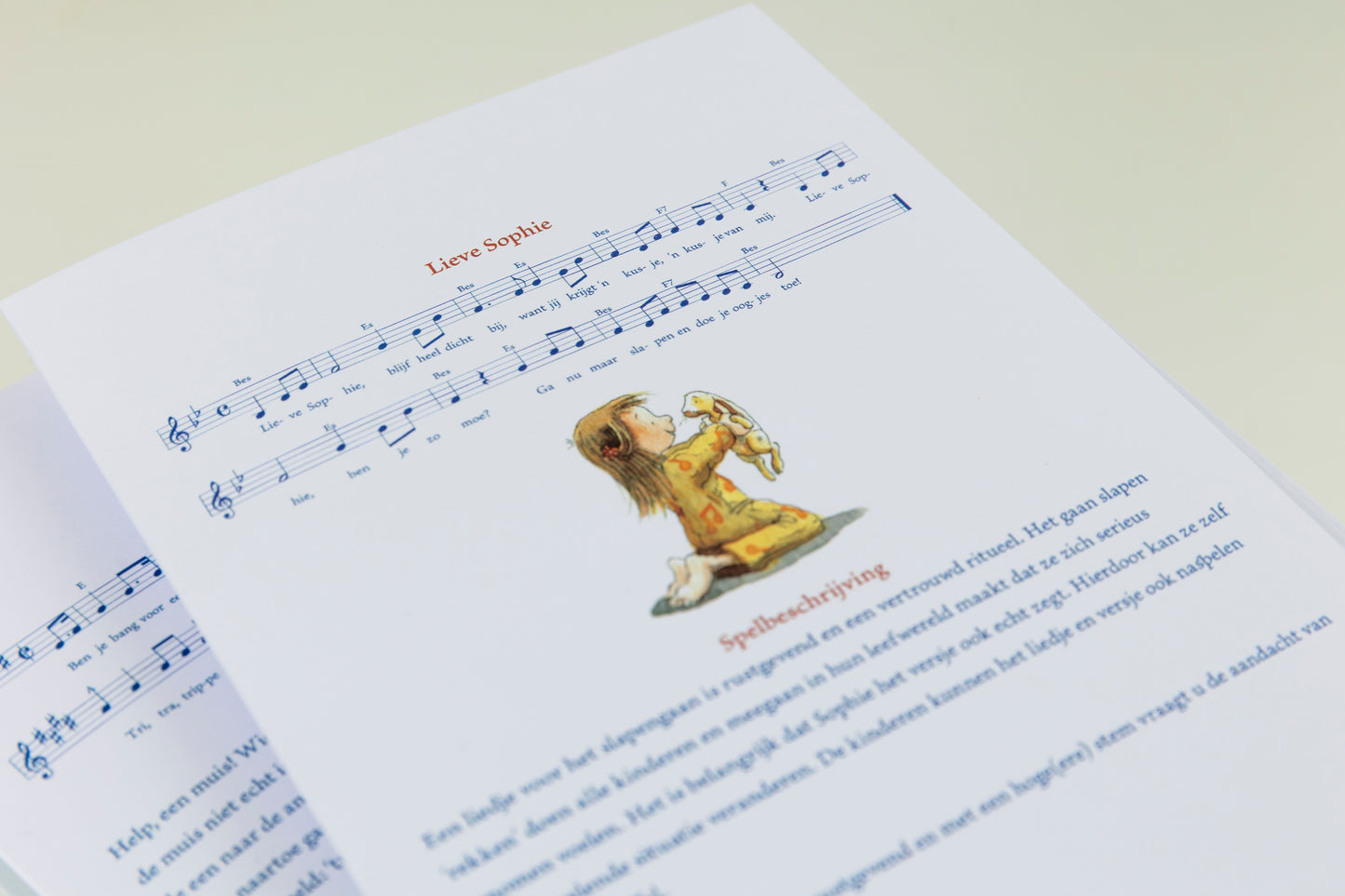 Lin de Laat vouwkaarten