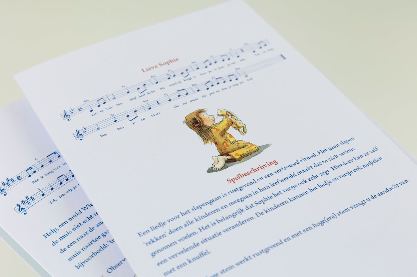 Lin de Laat vouwkaarten