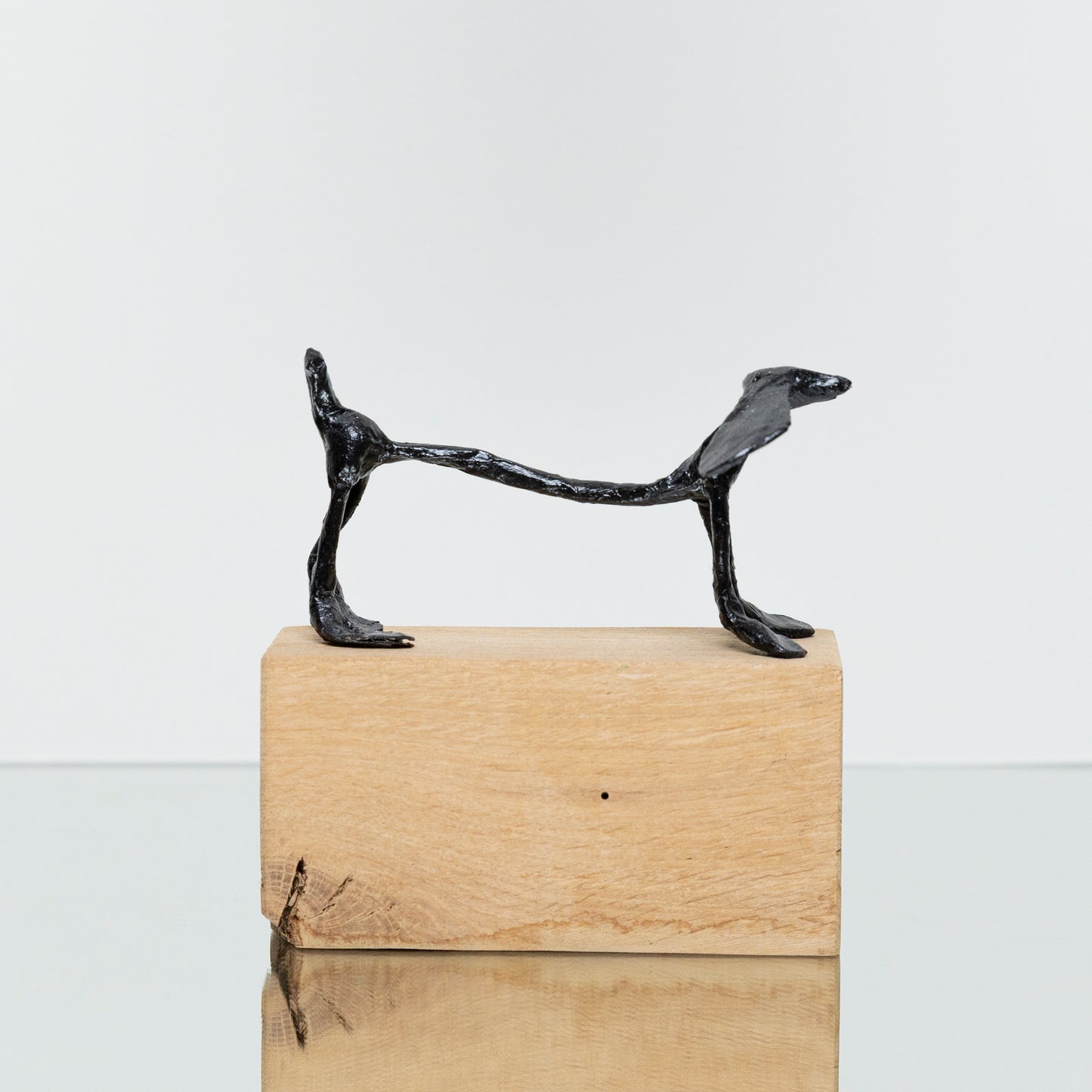Chien Noir