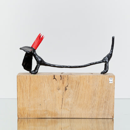 Chien Noir Longue Couronne Rouge