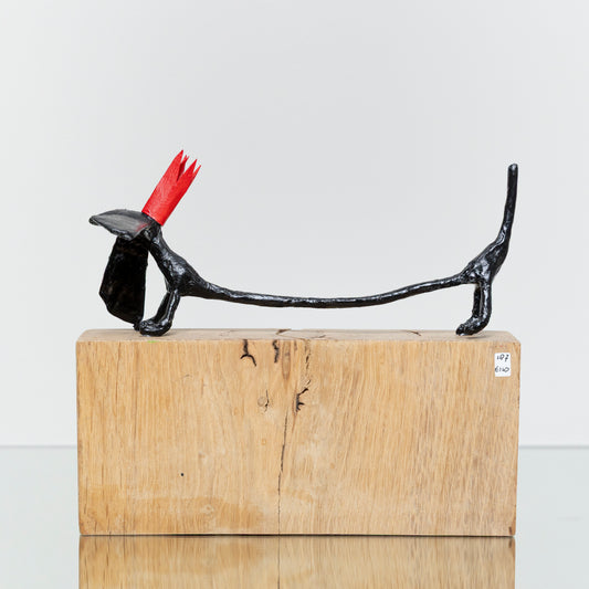 Chien Noir Longue Couronne Rouge