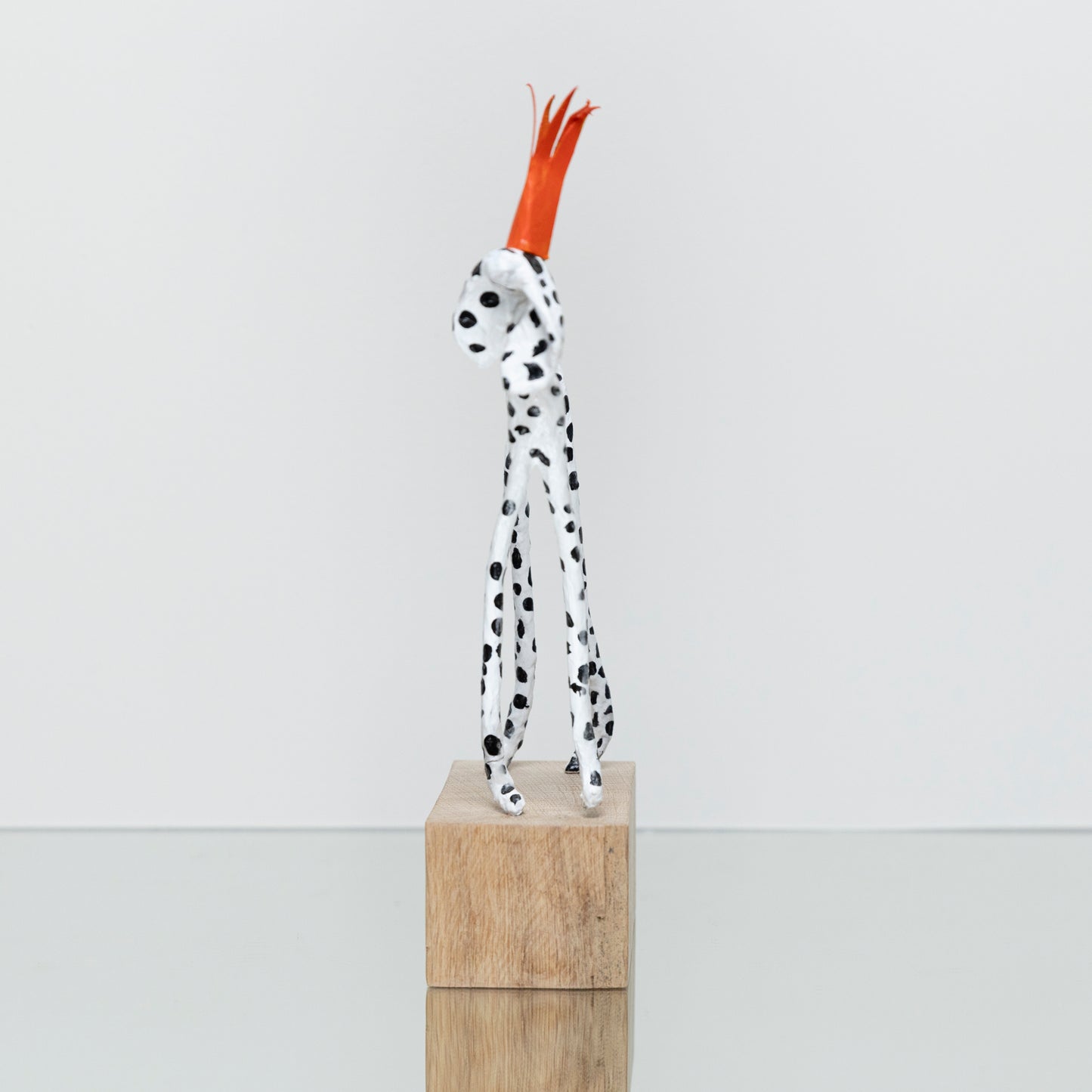 Dalmatier Couronne Rouge