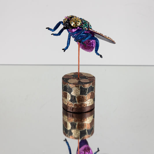 Insect 1