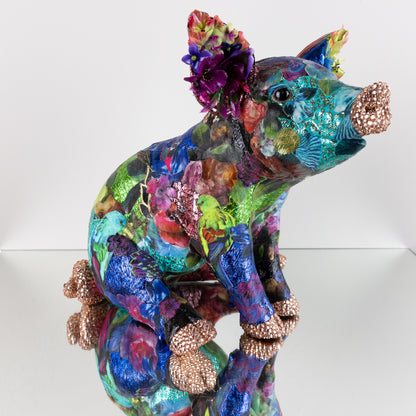 Pig