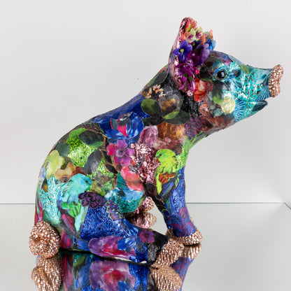 Pig