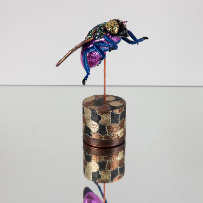 Insect 1