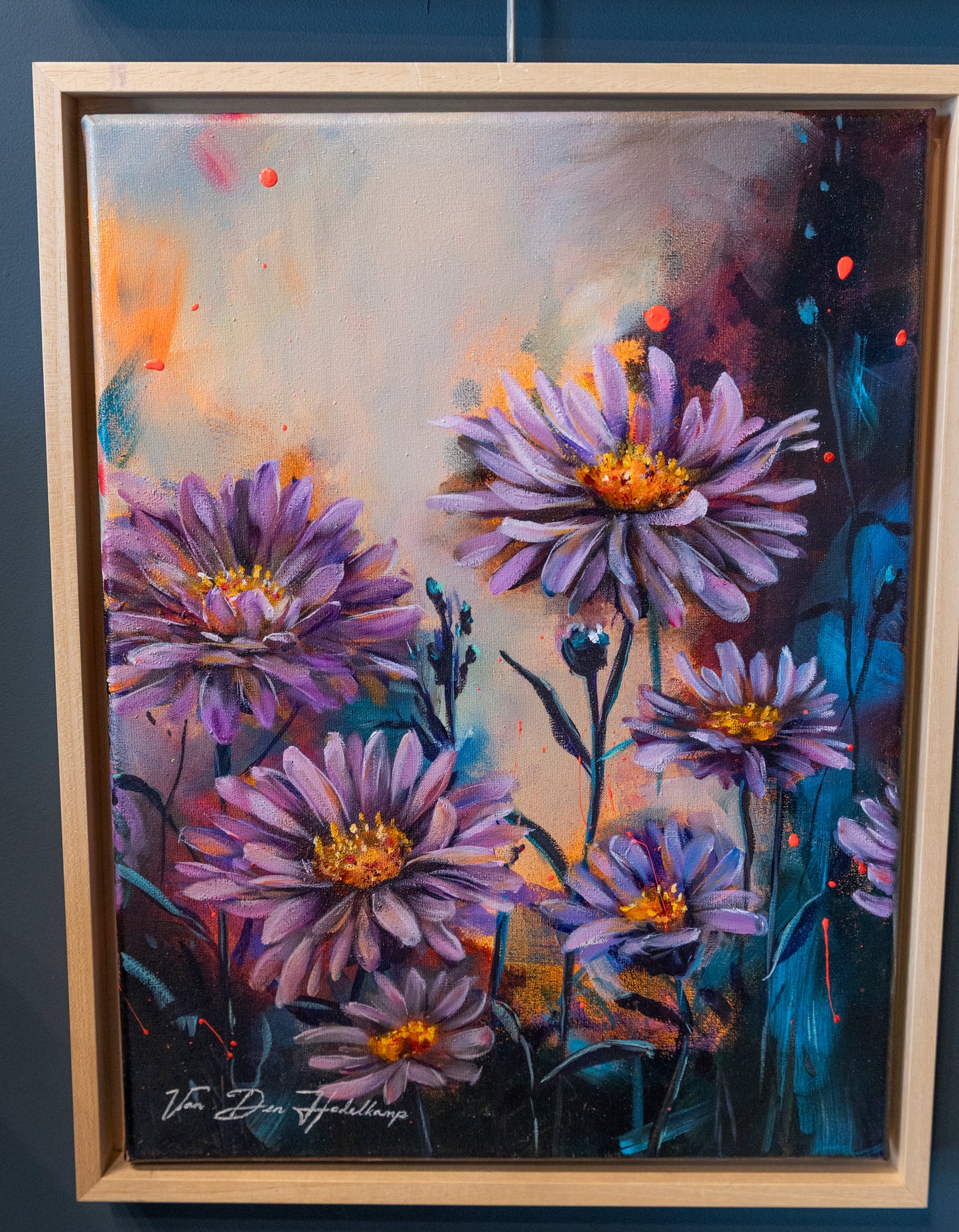 Aster Flower September