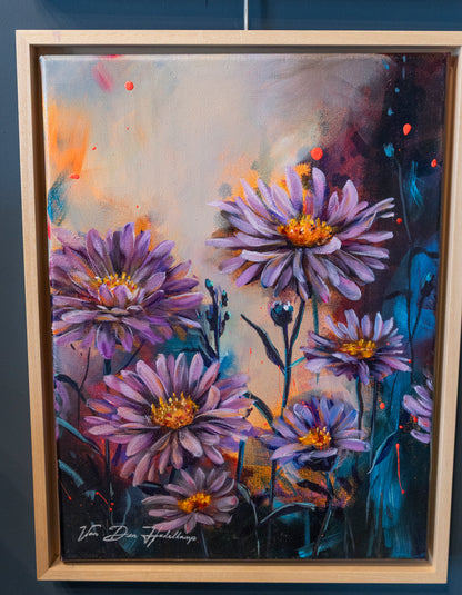 Aster Flower September