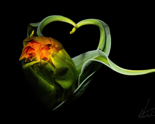 Piece of my heart